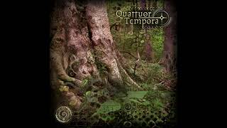 VA Quattuor Tempora - CD2 - 06 - Aranya - Sun's Journey