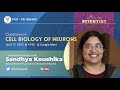 PSL TNSF - Meet the Scientist - QUESTIONS IN CELL BIOLOGY OF NEURONS