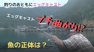 #103【エギング・ライトゲーム】エッグキャストブチ曲がり⁉正体は？