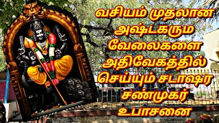 #murugan #tiruchendur #palani #vasiyam வசியம் முதலான அஷ்டகரும வேலைகளை அதிவேகத்தில் செய்யும் சடாஷரம்