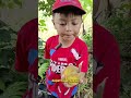 makan buah kecapi manis tumbuh liar di hutan..😱😱 shorts short shortvideo buahkecapi