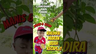 makan buah kecapi manis tumbuh liar di hutan..😱😱 #shorts #short #shortvideo #buahkecapi