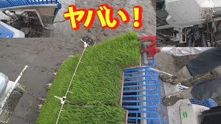 【会社員実家農業手伝う】2023イセキ5条植え田植え機植え付け部必見、苗の入れ方は正しい？