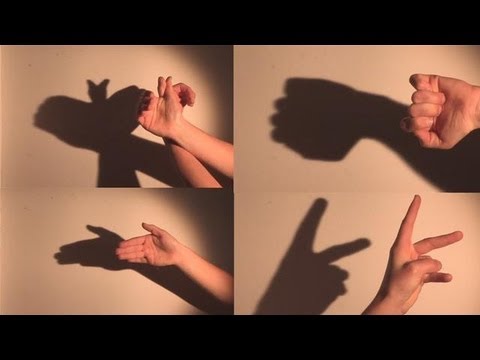 How To Make Shadow Puppets With Your Hand How To Make Shadow Puppets With Your Hand