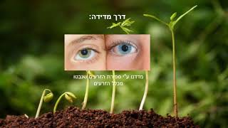 ביוחקר- השפעת שמן אקליפטוס על נביטה נגה הלפרין ותמר הלוי