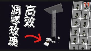 Minecraft【從零開始的生存之旅】簡單高效凋零玫瑰農場!!!!｜1.20.4生存｜全字幕#minecraft #紅石 #原味生存