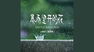 暴雨里开的花 (DJ Eva版)