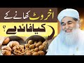 Islamic Question Answer|Akhrot khany k Kya Fiaday?|Maulana Ilyas Qadri|Madni TV Urdu