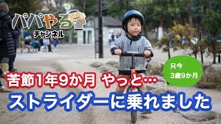 ストライダーにやっと乗れた！ 2歳〜3歳、これまでの練習と乗り方を教えるコツ