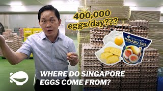 Where do Singapore Eggs come from?