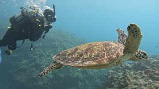 沖縄・チービシ諸島・①ナガンヌ南②神山ラビリンス③神山ラビリンスでオープンウォーター講習