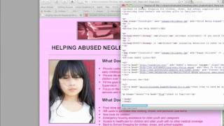 Using the HTML Validator