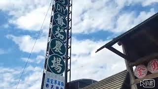 107.10.20-跟著咩咩叫來趣桃：金勇蕃茄