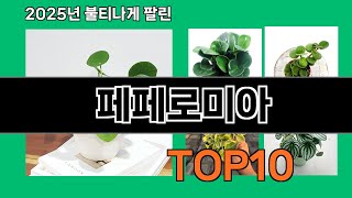 페페로미아 늦으면 없다는 쿠팡추천템 BEST 10