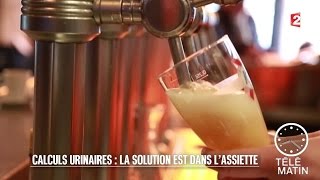 Santé - Calculs urinaires : la solution est dans l'assiette - 2016/01/18