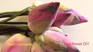 ផ្កាឈូក - Lotus flower