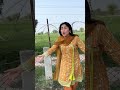 Pakistan or India Boder #emanumar #youtube #dubai #viral