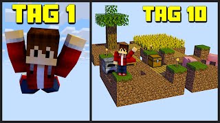 10 Tage Minecraft aber No Block | LarsLP