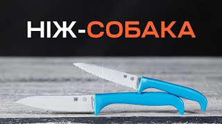 Огляд на УНІВЕРСАЛЬНІ КУХОННІ ножі Spyderco Counter Puppy | Critter