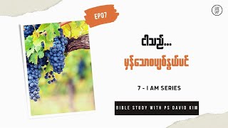 I AM (EP07) - The True Vine  ငါသည် မှန်သောစပျစ်နွယ်ပင် | Ps David Kim