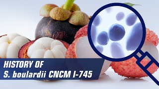 History of Saccharomyces boulardii CNCM I-745