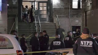 Man fatally shot in the Bronx; no arrests made