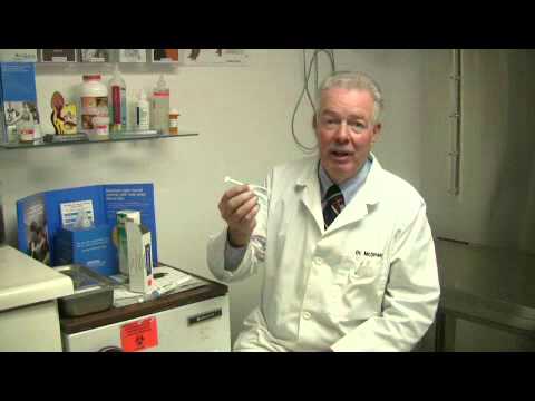 How to Cure a Dog's Constipation How to Cure a Dog's Constipation