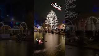 Merry Christmas 🎄⛄🦌 Denmark Decoration