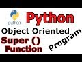 Python Super() Function Object Oriented Programming (OOP) #20