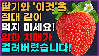 딸기와 상극인 음식 TOP 4 말씀드릴게요! 절대 같이 섭취하면 안됩니다!! 건강 행복한 노년기 위해 먹는 딸기! 꼭 이렇게 드세요 암과 치매 예방할 수 있습니다!