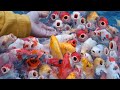 FEEDING HUNDREDS OF KOI FISH