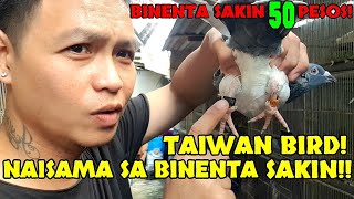 TAIWAN BIRD naisama sa mga binentang tig 50 pesos! may SENSOR pa!