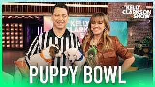 Kelly Clarkson Meets Adorable Puppy Bowl 2024 Players