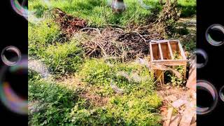 台中 大型家俱 垃圾雜物清運♻️回收