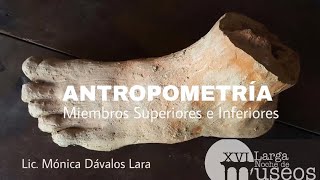 Antropometría - Lic. Mónica Dávalos Lara