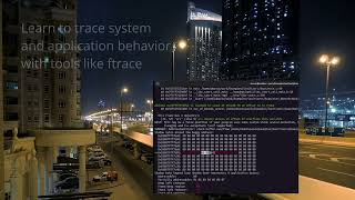Linux Debug Training (Promotion)