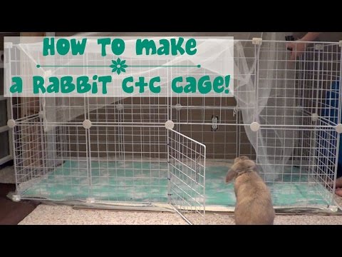 HOW TO BUILD A RABBIT CAGE HOW TO BUILD A RABBIT CAGE
