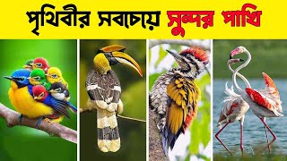 বিশ্বের ১০টি বিস্ময়কর পাখি | 10 Most Amazing Birds | Bisser Bissoy