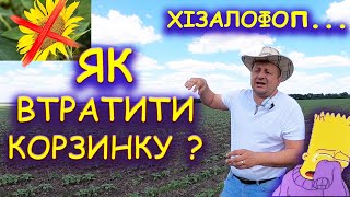 Б'Є ПО ГОЛОВІ СОНЯШНИКУ 🌻 ГЕРБІЦИД ВІД МИШІЮ ТА ПИРІЮ хізалофоп