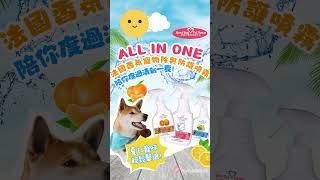 🐾 🌸「All in One陪你度過清新一夏！」一噴即除，夏日異味輕鬆擊退！讓你的愛寵在夏日裡也能清爽無比！#寵物除臭噴霧 #夏日異味 #寵物 #寵物清潔 #allinone #gbph好寶貝 #除臭