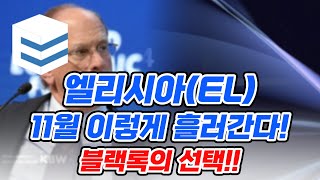 엘리시아 코인 블랙록 최대 관심 RWA 주목하세요~!