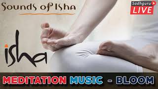 Isha Inner Engineering Meditation Music.