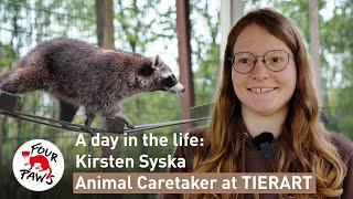 A day in the life at TIERART Wild Animal Sanctuary