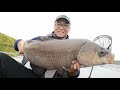 legendary bigmouth buffalo acquired fall kayak fishing pasqua lake