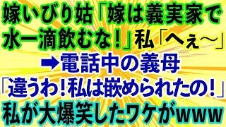 【スカッとする話】嫁いびり大好きな姑「嫁は義実家で水一滴でも飲むな！」私「へぇ〜」→1時間後、電話中の義母「違うわ！私は嵌められたの！」私が大爆笑したワケ