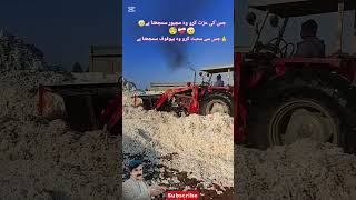 Mixing cotton for ginning with MF 375 | Factory Working Video #driverloog786 #MF375 #belarustractor