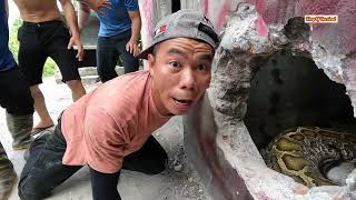 6 Brave Expert Catch 2 Giant Python 500Kg