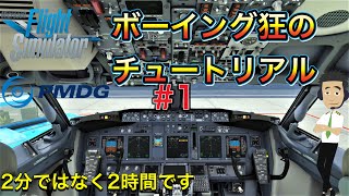 【PMDG B737チュートリアル#1】ボーイング狂のふらいとさんが語りまくる【Cold and Dark⇒Preflight Procedure】