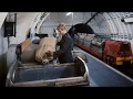 Abandoned underground postal railway opened to the public