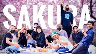 ජපානයේ සකුරා | Japan Cherry Blossoms | CINEMATIC VIDEO | Sri Lanka + Japan 🇯🇵